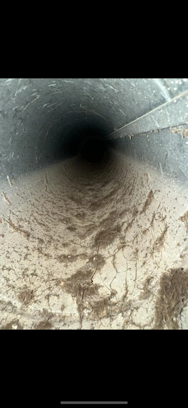 Mold Assessment & Referral