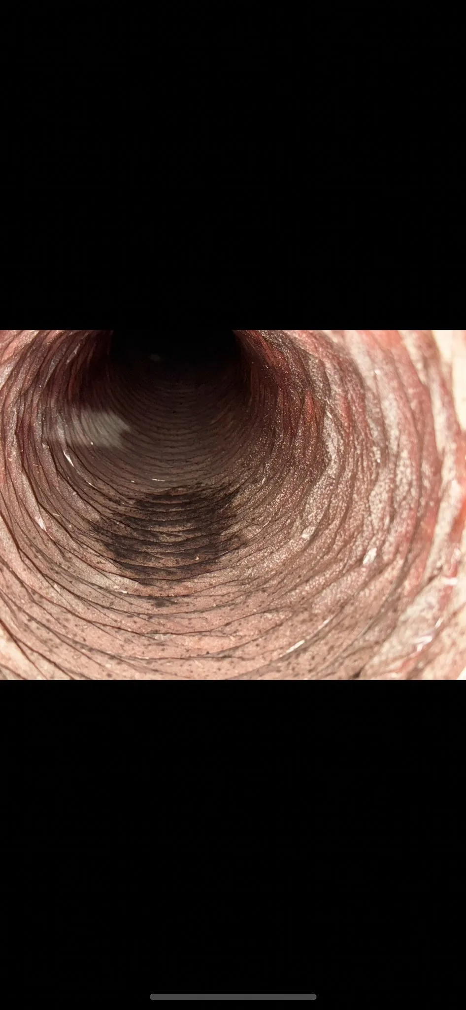 Camera Duct Inspection & Air-Quality Assessment